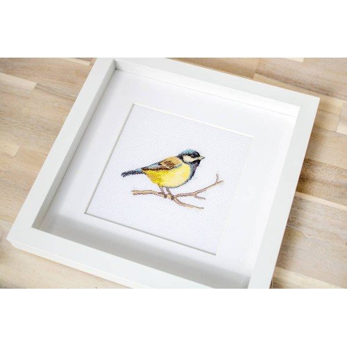 Luca-S - Great tit
