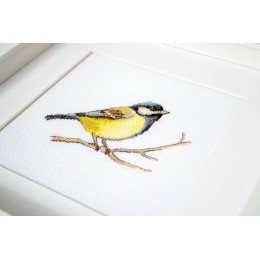 Luca-S - Great tit
