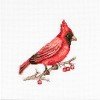 Luca-S - Cardenal