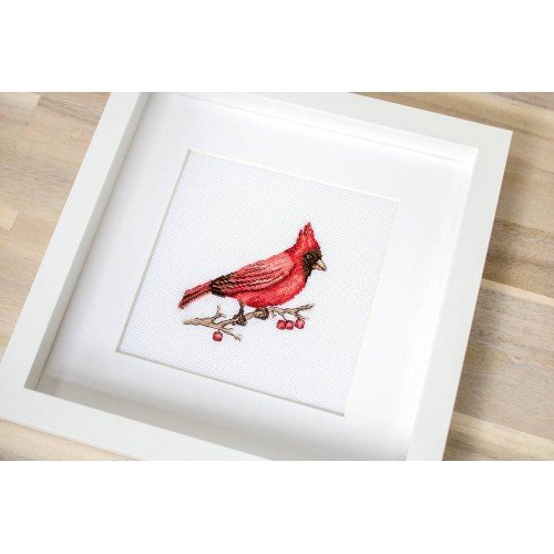 Luca-S - Cardenal