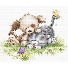 Luca-S - Dog and cat with butterfly