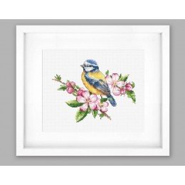 Luca-S - The blue tit