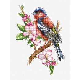 Luca-S - Chaffinch bird