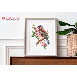 Luca-S - Chaffinch bird