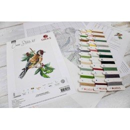 Luca-S - Goldfinch bird