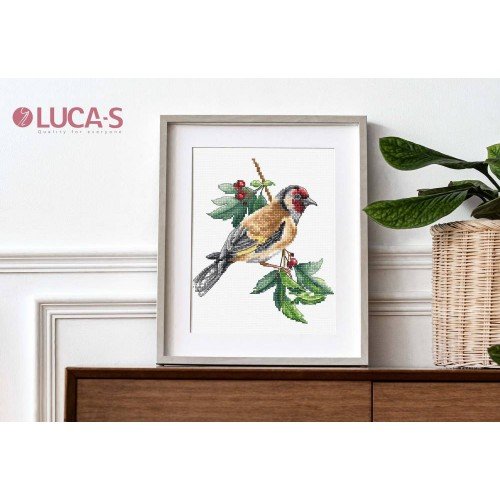 Luca-S - Goldfinch bird