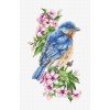 Luca-S - Blue bird on the branch