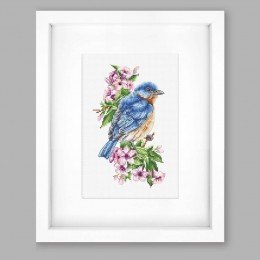 Luca-S - Blue bird on the branch