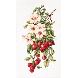 Luca-S - Composition with cherry
