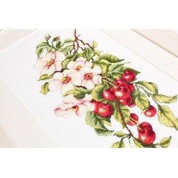 Luca-S - Composition with cherry