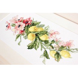 Luca-S - Flowers and lemon