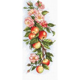 Luca-S - Composition with apple