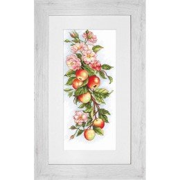 Luca-S - Composition with apple