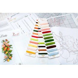 Luca-S - Composition with apple