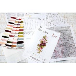 Luca-S - Composition with grapes