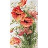 Luca-S - Poppies