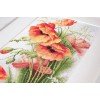Luca-S - Poppies