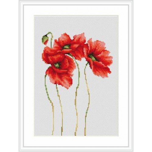 Luca-S - Amapolas