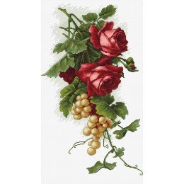Luca-S - Red roses and grapes