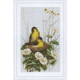 Luca-S - Birds in the nest