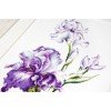 Luca-S - Irises