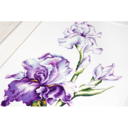Luca-S - Irises