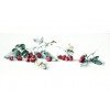 Luca-S - Raspberries with butterfly