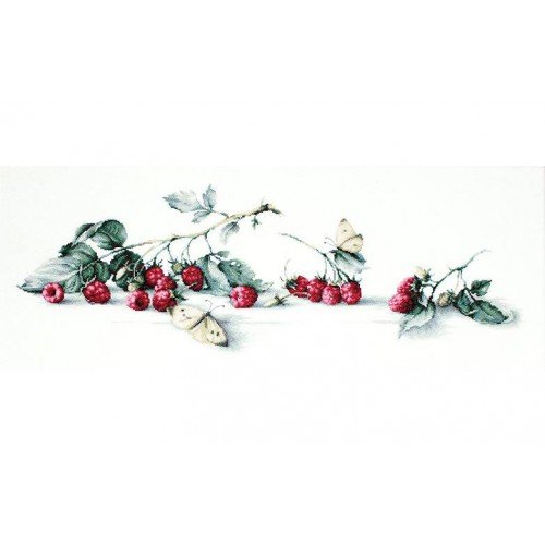 Luca-S - Raspberries with butterfly