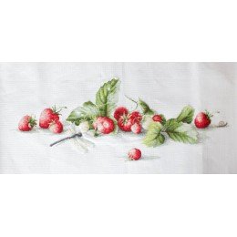 Luca-S - Etude with strawberries