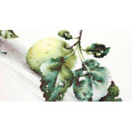 Luca-S - Still life with apples