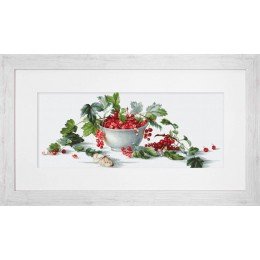 Luca-S - Red currants