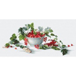 Luca-S - Red currants