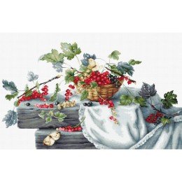 Luca-S - Red currants