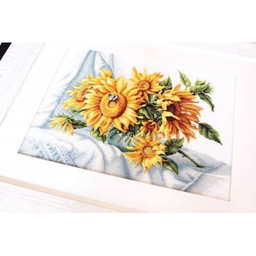 Luca-S - Sunflowers