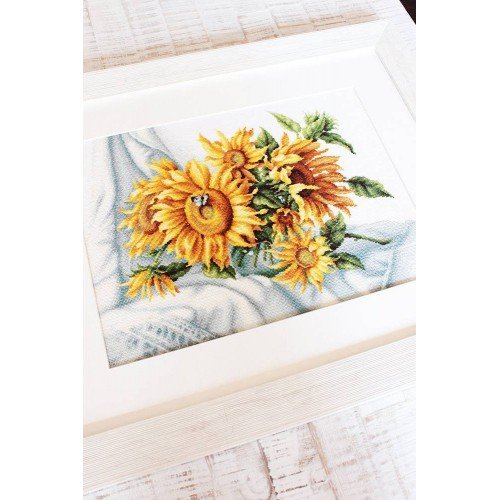 Luca-S - Sunflowers