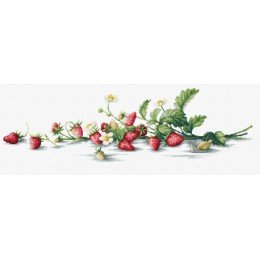 Luca-S - Etude with strawberries