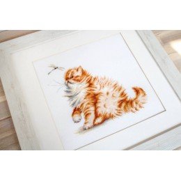 Luca-S - Kitten with a dragonfly