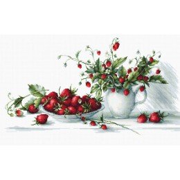 Luca-S - Strawberries