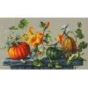 Luca-S - Pumpkin