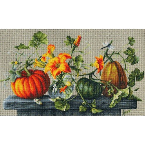 Luca-S - Pumpkin