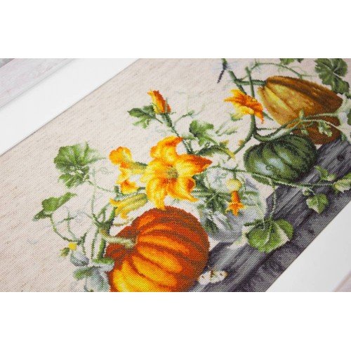 Luca-S - Pumpkin