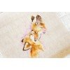 Luca-S - Foxes