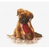 Luca-S - The boxer