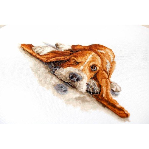 Luca-S - Basset
