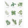 Luca-S - Spices and herbs
