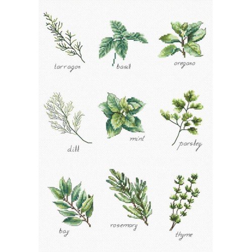 Luca-S - Spices and herbs