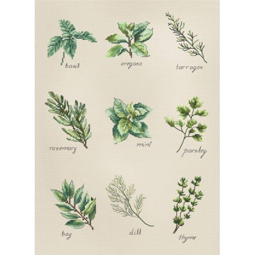 Luca-S - Spices and herbs