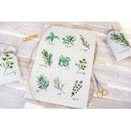 Luca-S - Spices and herbs