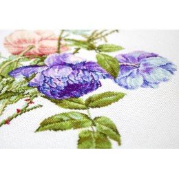 Luca-S - The bouquet