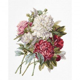 Luca-S - The peonies